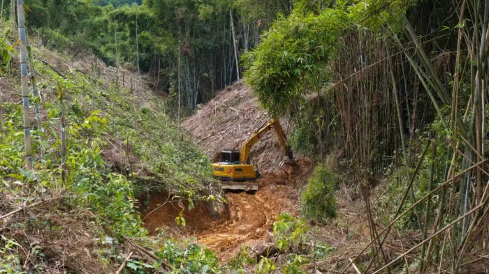 林间“藏龙”，竹海“卧虎”——徐工林业挖机广西侠客行